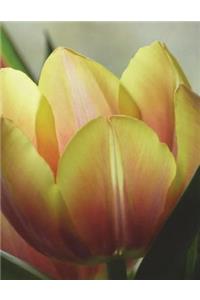 Flower Notebook Large Size 8.5 x 11 Ruled 150 Pages
