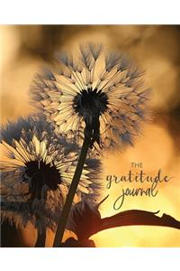 The Gratitude Journal