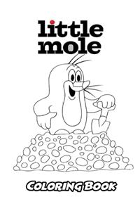 Little Mole Coloring Book
