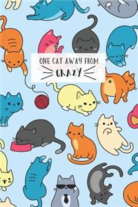 One Cat Away from Crazy