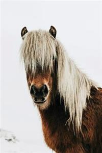 Horse Notebook