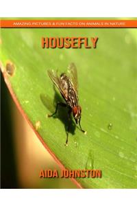 Housefly: Amazing Pictures & Fun Facts on Animals in Nature