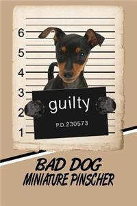 Bad Dog Miniature Pinscher