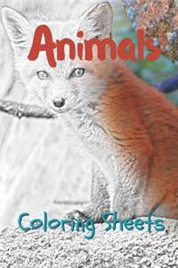 Animals Coloring Sheets