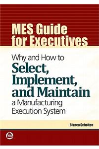 MES Guide for Executives