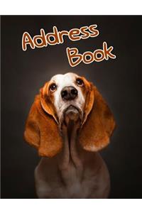 Address Book: Large Print for Seniors or the Visually Impaired, Large Size Book 8 1/2 X 11