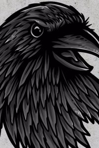 Raven Composition Notebook