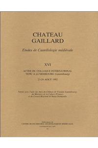 Chateau Gaillard. Etudes de Castellogie Medievale 16: Colloque de Luxembourg (1992)