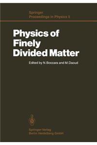 Physics of Finely Divided Matter