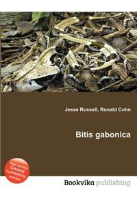 Bitis Gabonica