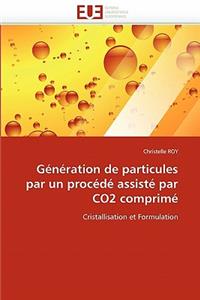 G�n�ration de Particules Par Un Proc�d� Assist� Par Co2 Comprim�