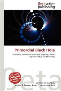 Primordial Black Hole