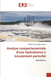 Analyse comportementale d'une Hydrolienne à écoulement perturbé