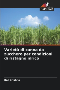 Varietà di canna da zucchero per condizioni di ristagno idrico