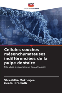 Cellules souches mésenchymateuses indifférenciées de la pulpe dentaire