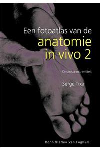 Anatomie In Vivo Ivo