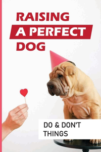 Raising A Perfect Dog