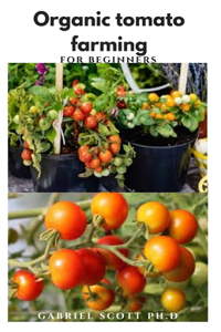 Organic Tomato Farming for Beginners