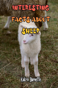 Interesting Facts about Sheep