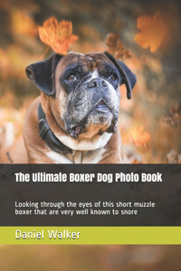 The Ultimate Boxer Dog Photo Book