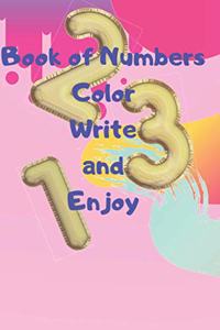 Book of Numbers Color Write and Enjoy