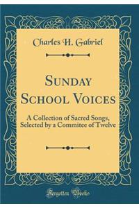 Sunday School Voices: A Collection of Sacred Songs, Selected by a Commitee of Twelve (Classic Reprint)