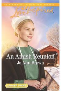 An Amish Reunion