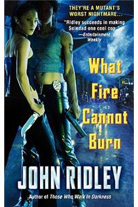 What Fire Cannot Burn