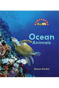 Ocean Animals