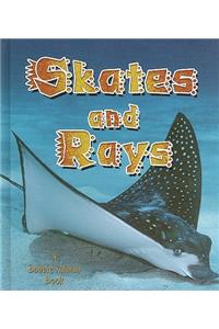 Skates and Rays