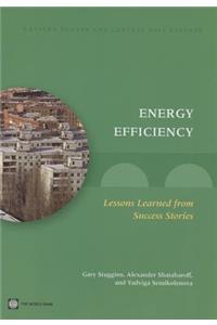 Energy Efficiency