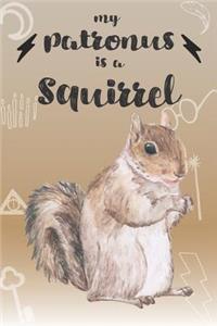 My Patronus Is A Squirrel