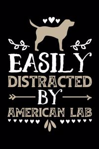 Easily Distracted by American Lab