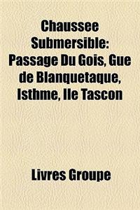 Chausse Submersible