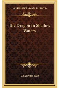 The Dragon in Shallow Waters