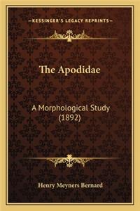 The Apodidae