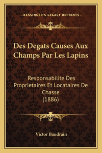 Des Degats Causes Aux Champs Par Les Lapins