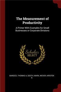 The Measurement of Productivity