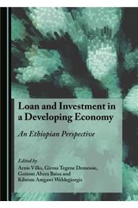 Loan and Investment in a Developing Economy