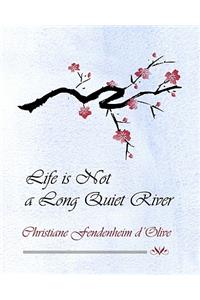 Life is Not a Long Quiet River