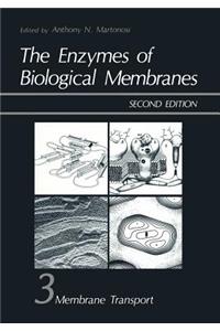 Enzymes of Biological Membranes