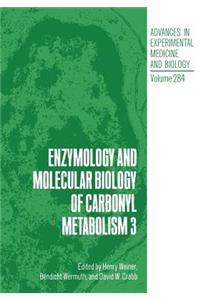 Enzymology and Molecular Biology of Carbonyl Metabolism 3