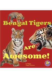 Bengal Tigers Are Awesome!