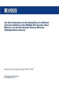 On-Site Evaluation of the Suitability of a Wetted Instream Habitat in the Middle Rio Grande, New Mexico, for the Rio Grande Silvery Minnow (Hybognathus amarus)