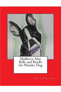 Mulberry May Belle and Bandit the Wonder Dog