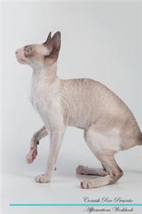 Cornish Rex Affirmations Workbook Cornish Rex Presents