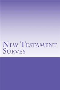 New Testament Survey