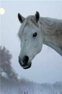 A Wonderful White Horse Portrait Journal