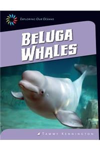 Beluga Whales