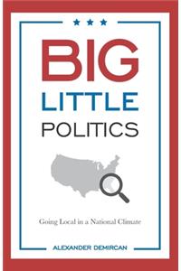 Big Little Politics